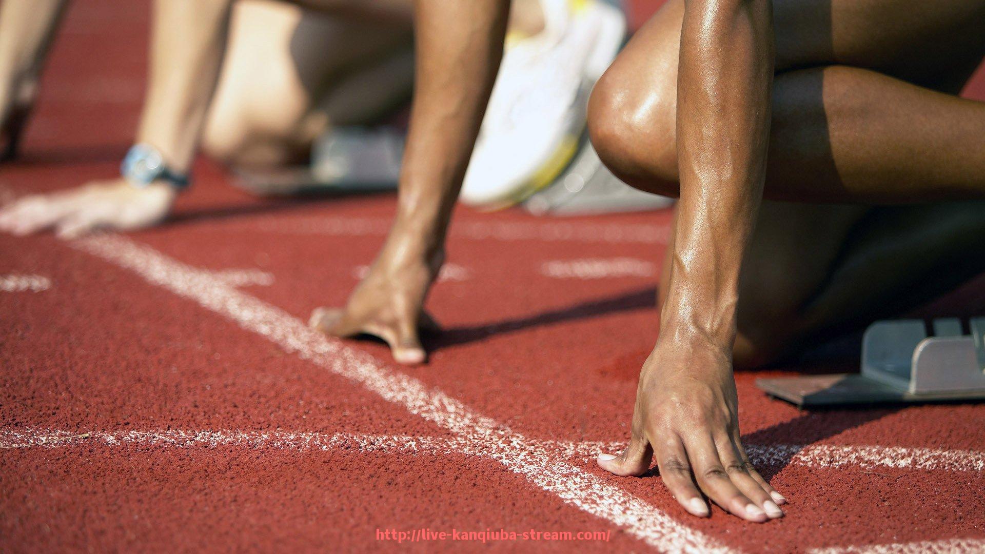 看球吧直播-见证狂欢:世俱杯球迷观赛体验与心得全景回顾 看球吧直播-见证狂欢:世俱杯球迷观赛体验与心得全景回顾